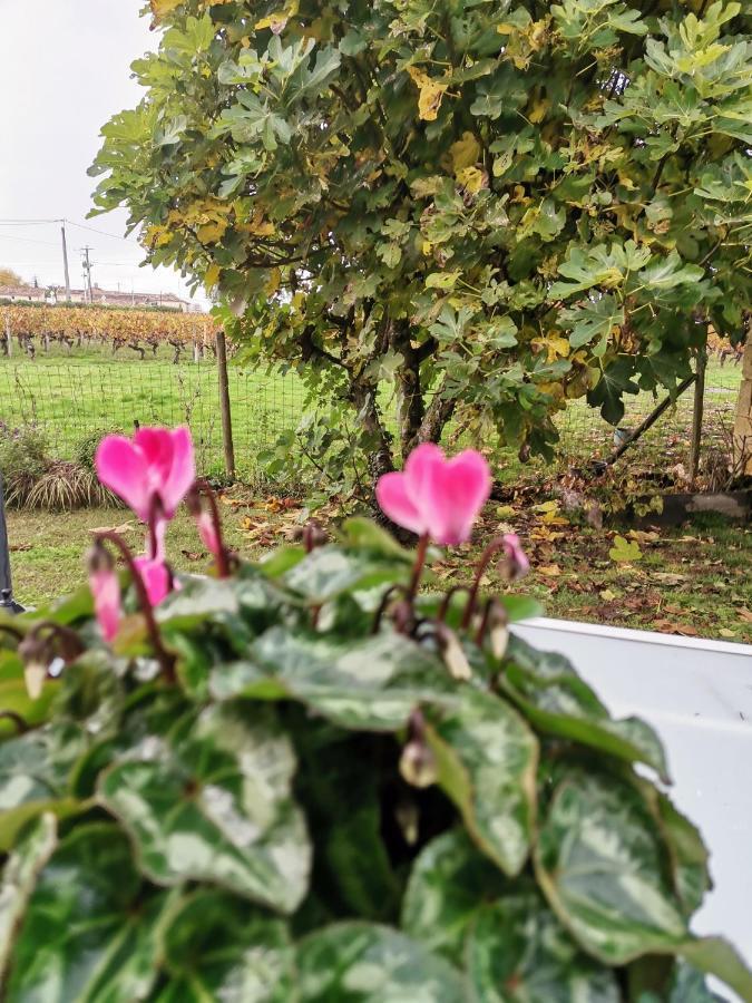 Gite " Suzon" A Peyroutas Vignonet St Emilion Exterior foto